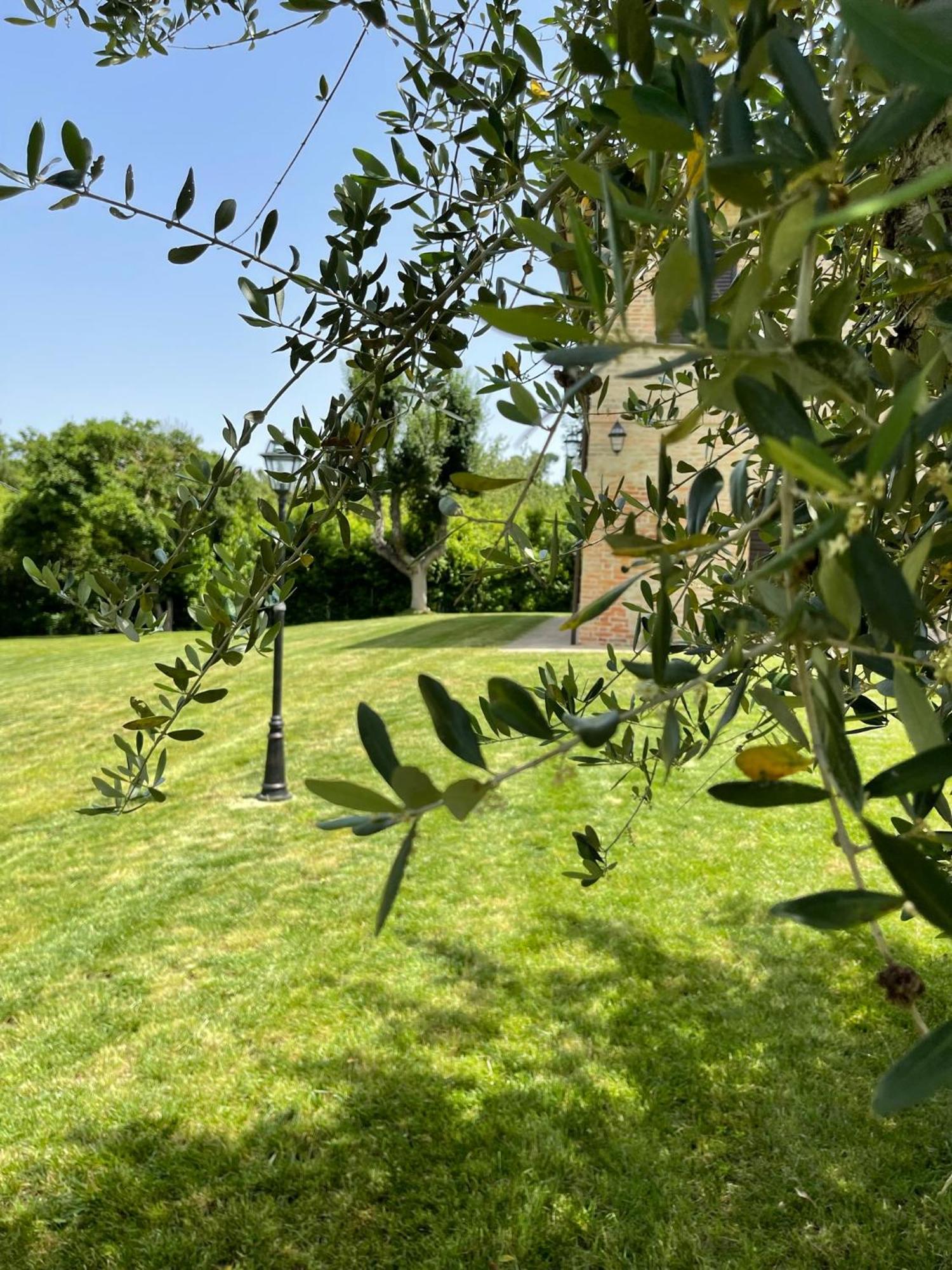 Montepulciano Stazione L' Aia Del Principe 빌라 외부 사진